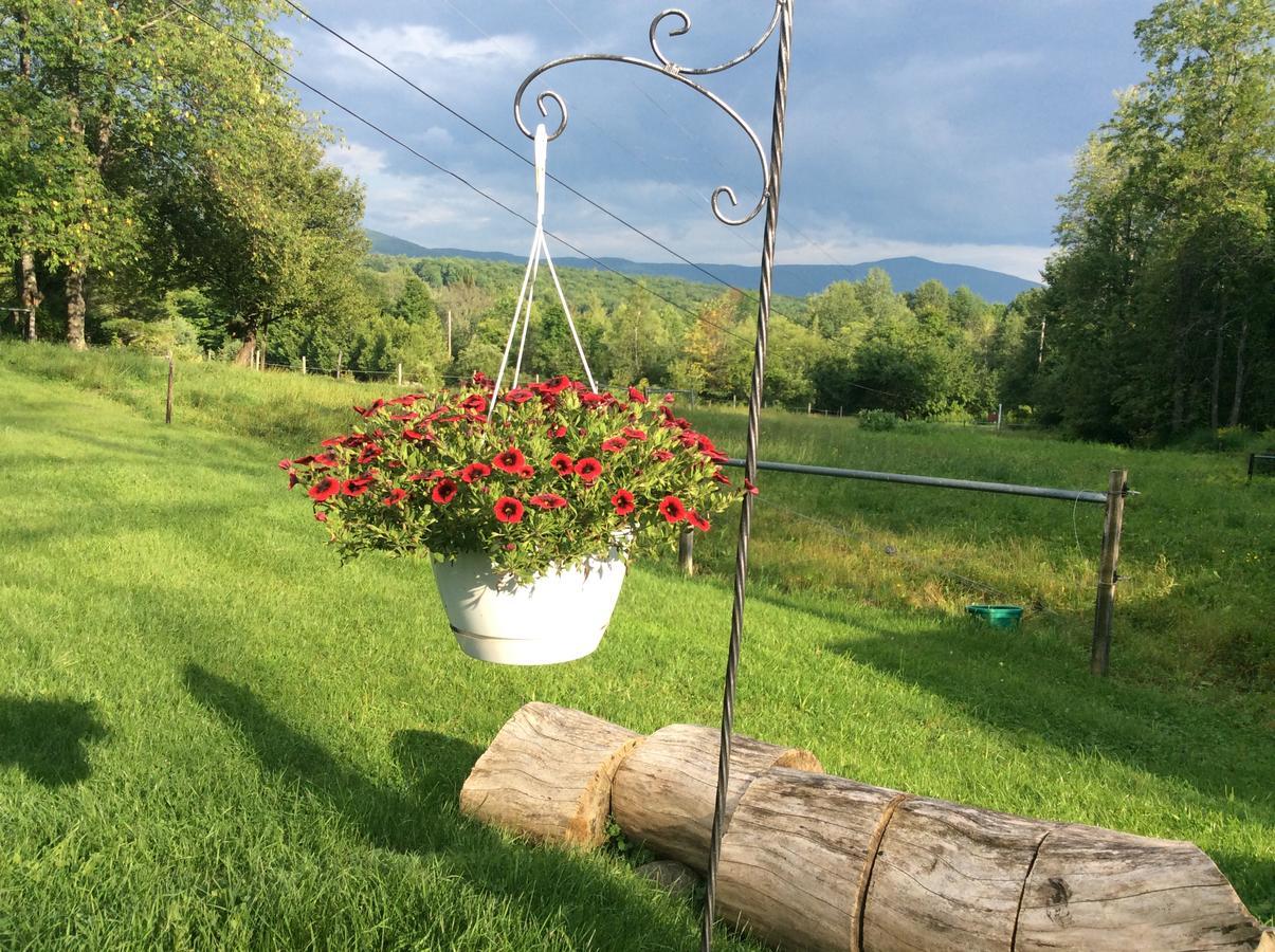 Firefly Bed & Breakfast Lincoln 외부 사진