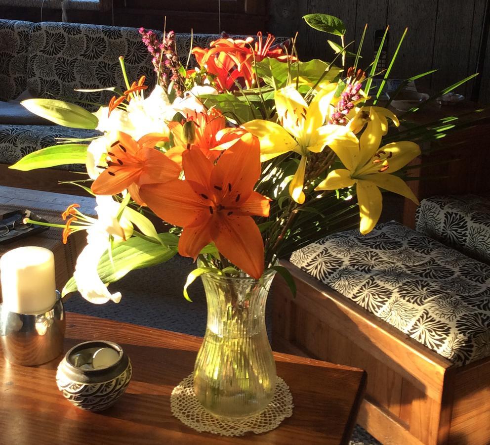 Firefly Bed & Breakfast Lincoln 외부 사진