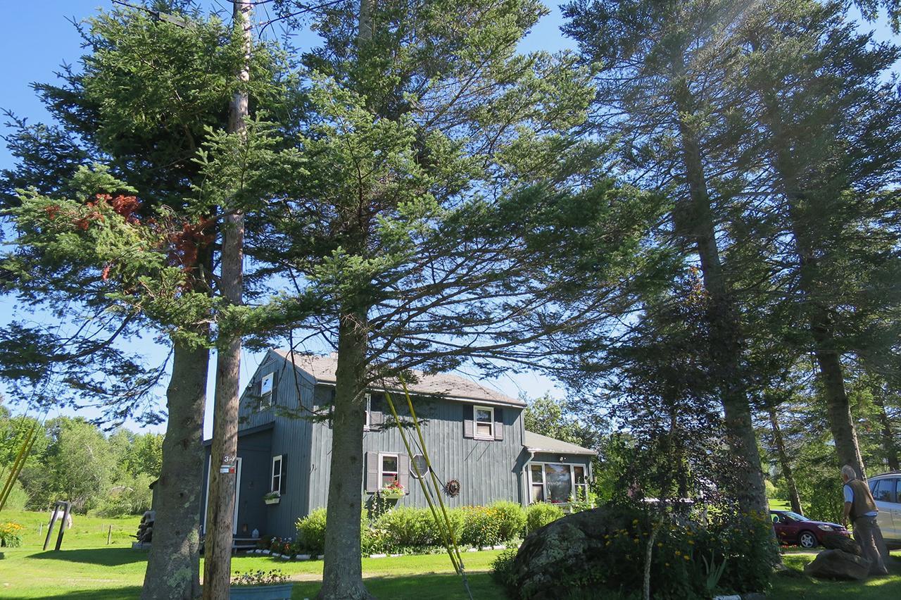 Firefly Bed & Breakfast Lincoln 외부 사진