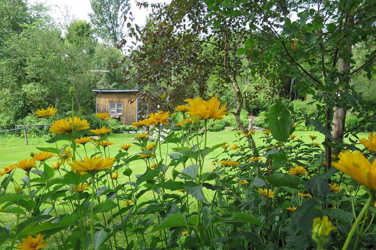 Firefly Bed & Breakfast Lincoln 외부 사진