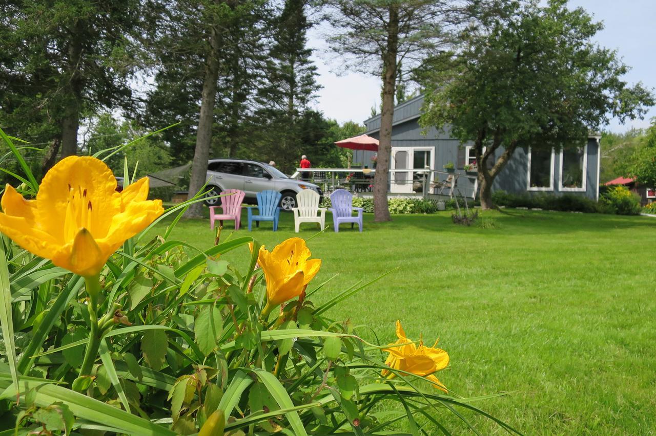 Firefly Bed & Breakfast Lincoln 외부 사진