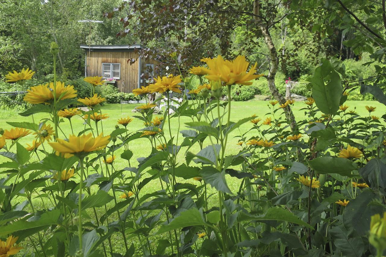 Firefly Bed & Breakfast Lincoln 외부 사진